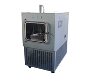 Non-standard customized vacuum freeze dryer 